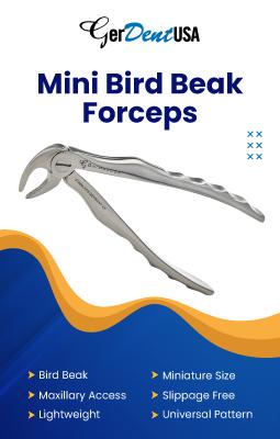 Mini Bird Break
