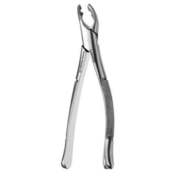 Split Beak American Forceps, Upper Premolars