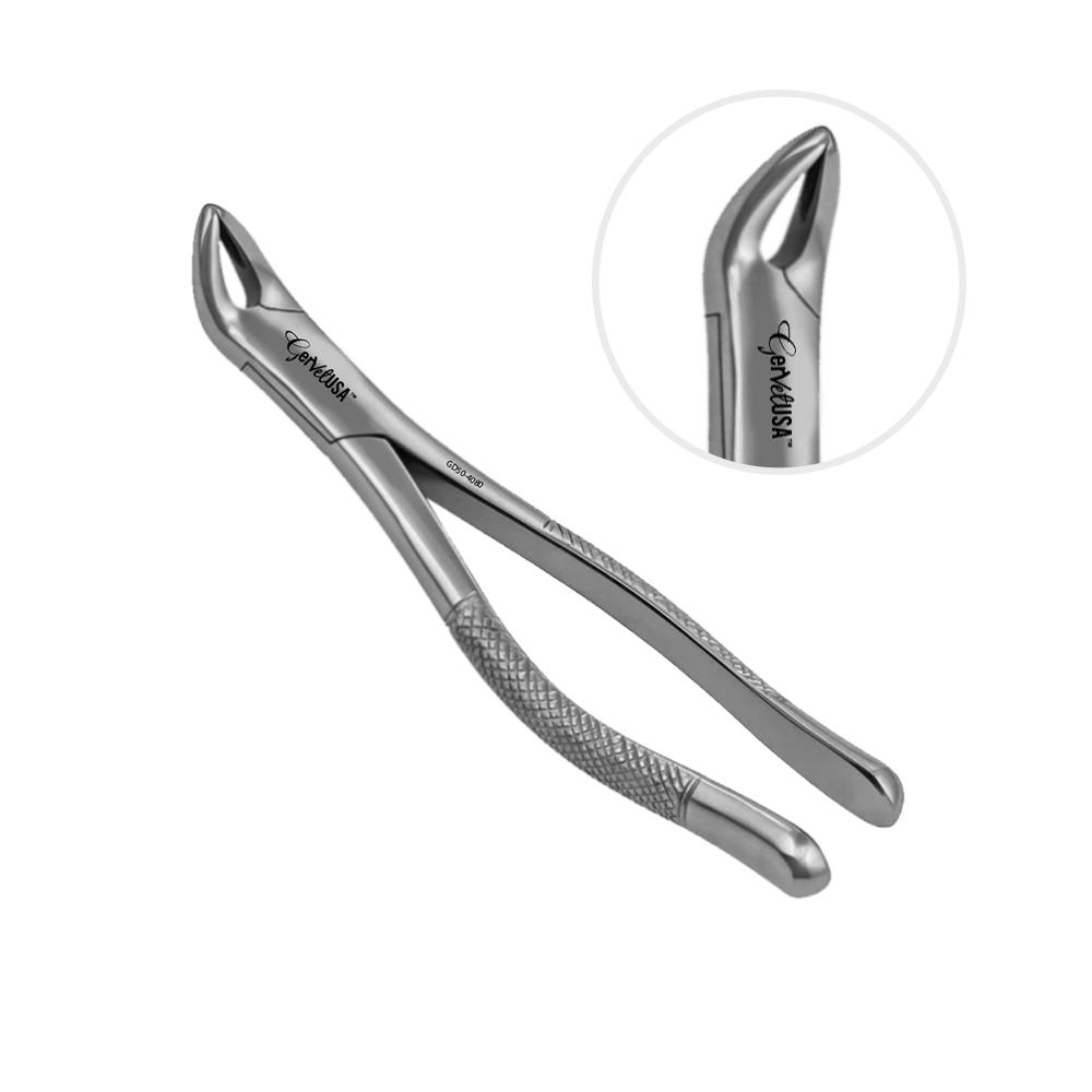 American Apical Forceps No. 151, Lower Premolars