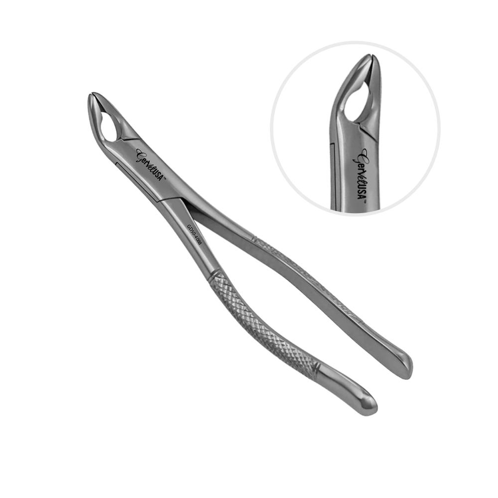 American Forceps No. 151A, Lower Premolars