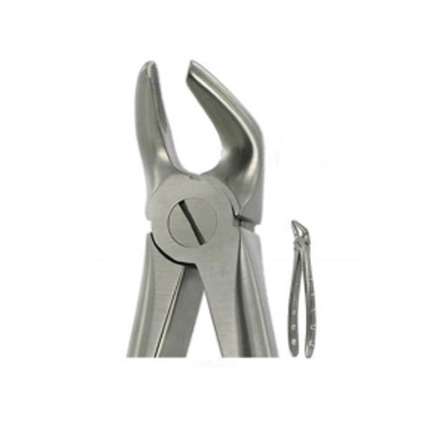 English Extracting Forceps, Lower Premolars No. 8