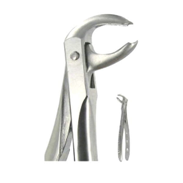 English Extraction Forceps, Hawks Bill Lower Molars No. 73