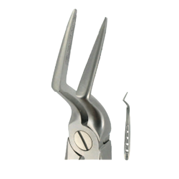 English Extracting Forceps No. 235 Upper Roots, Parallel Beaks
