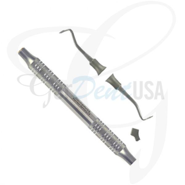 Cleoid Discoid Vignon