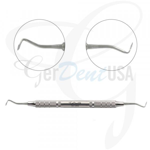 Cleoid Discoid Vignon