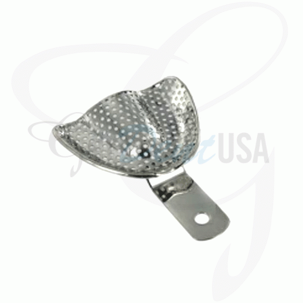 Impression Tray Perforated Denture, Upper L