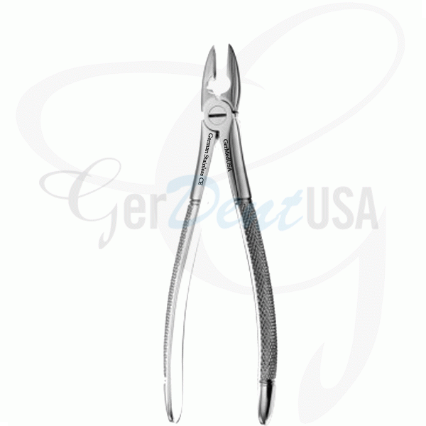 American Forceps No.1