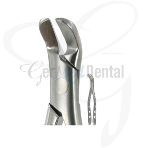 American Extraction Forceps No.6, Lower Splitting