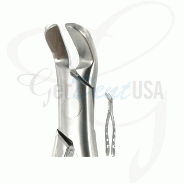 American Extraction Forceps No.6, Lower Splitting