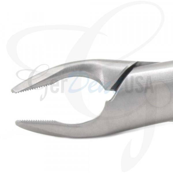 American Apical Forceps No. 150AF, Upper Premolars