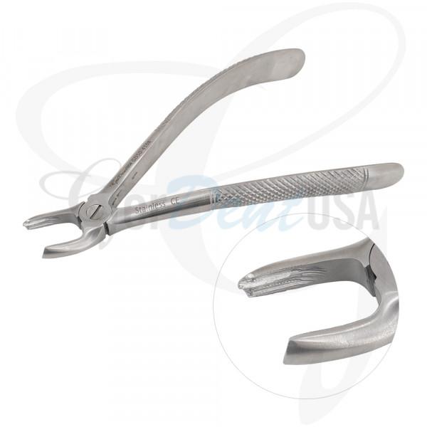 English Extracting Forceps, Upper Centrals And Canines No.1