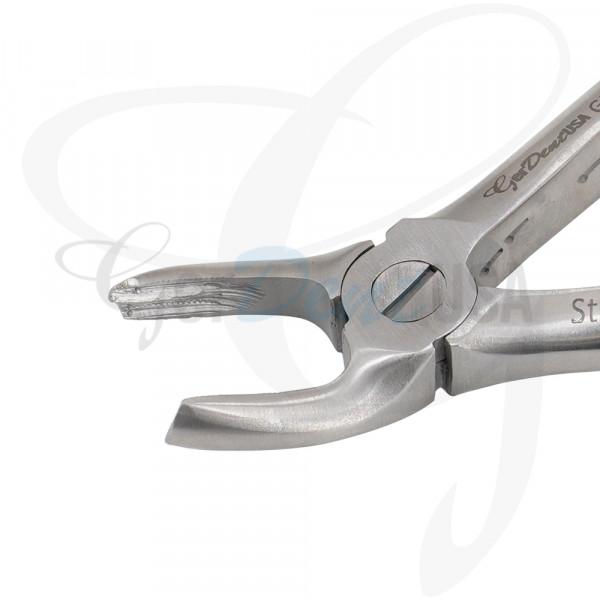 English Extracting Forceps, Upper Centrals And Canines No.1