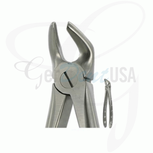 English Extracting Forceps, Lower Premolars No. 8