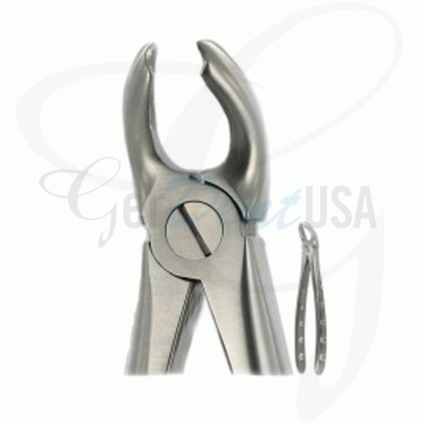 English Extracting Forceps, Lower Molars No. 21