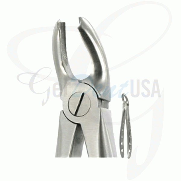 English Extraction Forceps, Lower Molars No. 32
