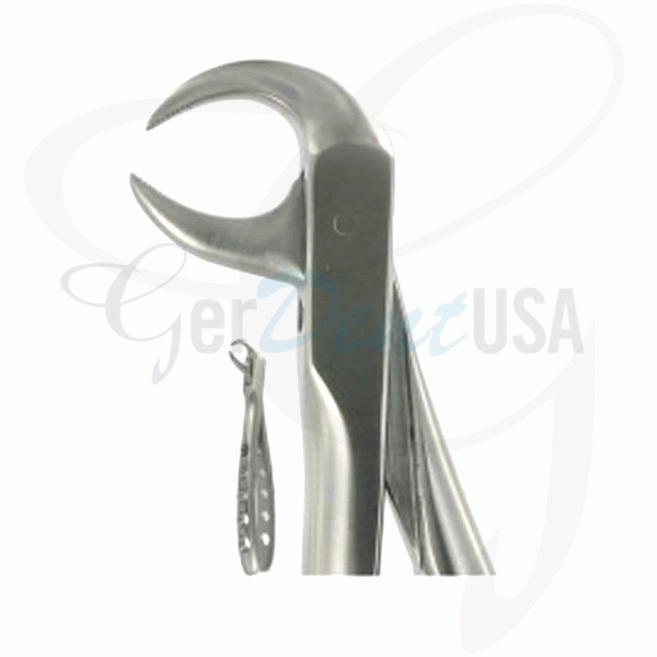English Extraction Forceps, Lower Molars No. 86C
