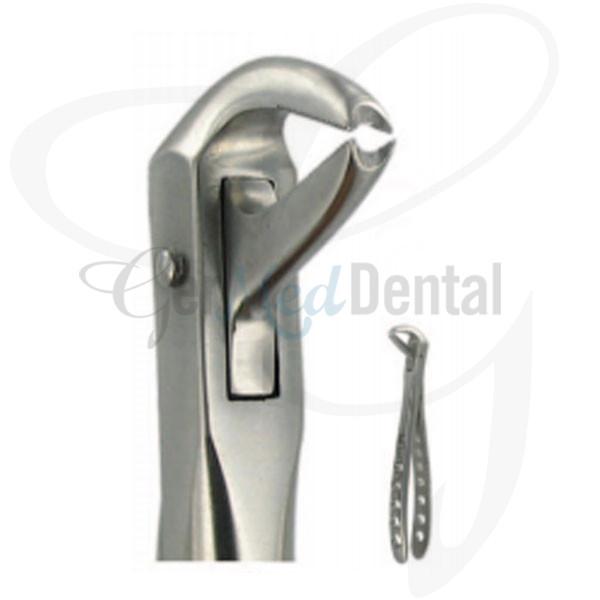 English Extraction Forceps Lower Canines No. 169
