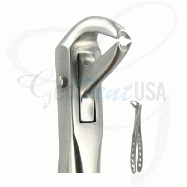 English Extraction Forceps Lower Canines No. 169