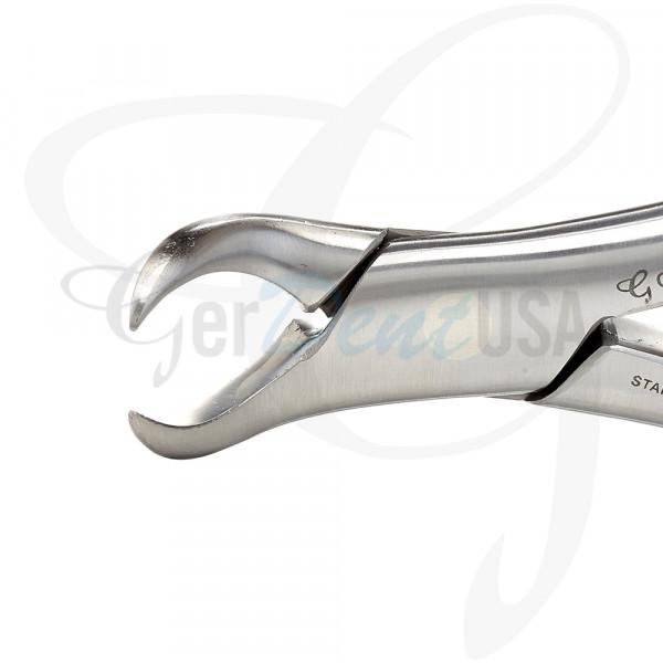 Modified Forceps Cowhorn 23