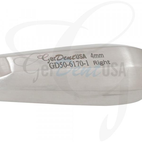 S-Bernard Elevator 4 Right, Small