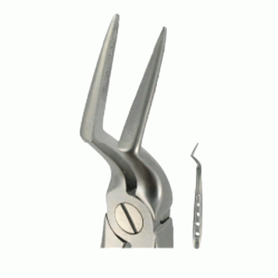 Parallel Forceps English Forceps | GerDentUSA
