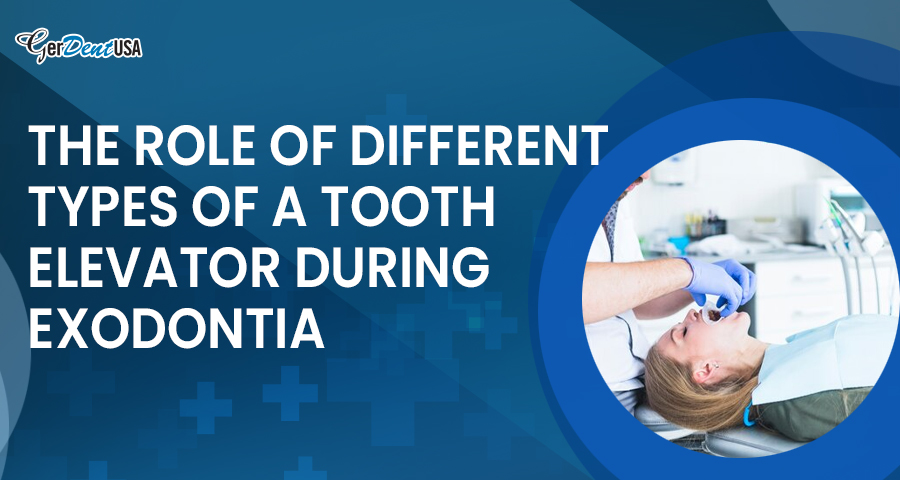 The Role of Different Types of a Tooth Elevator During Exodontia