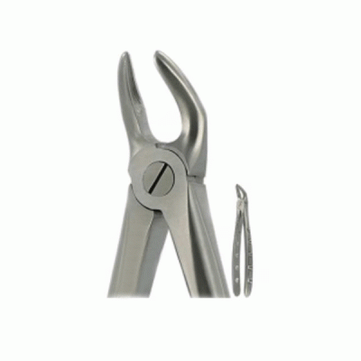 English Extraction Forceps Lower Roots No. 31