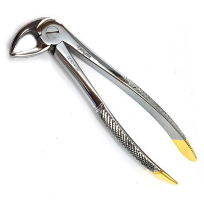 English Extraction Forceps, Lower Roots No. 33