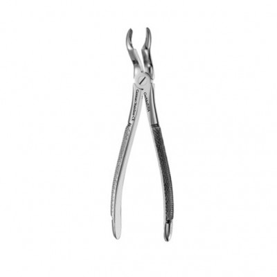 English Extraction Forceps, Upper Wisdom No. 67