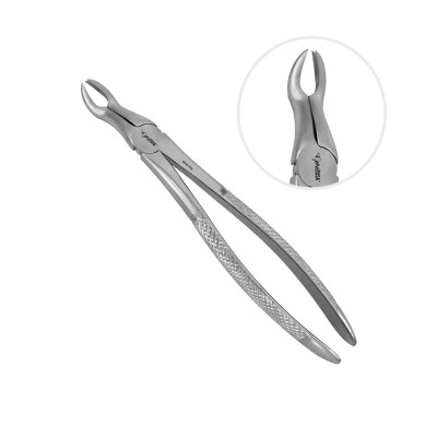 English Extraction Forceps, Upper Wisdom No. 67