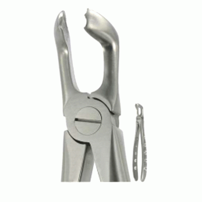 English Extraction Forceps, Lower Wisdoms No. 79