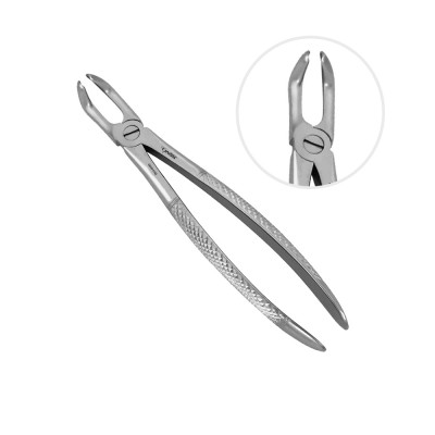 English Extraction Forceps, Lower Wisdoms No. 79A