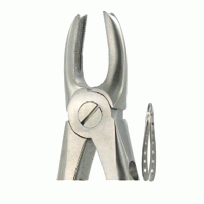 English Extraction Forceps No. 168 Upper Canines