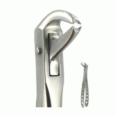 English Extraction Forceps Lower Canines No. 169
