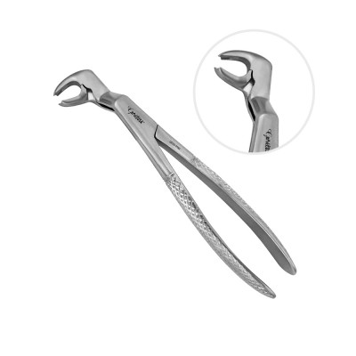 English Extraction Forceps Lower Wisdoms Right 22R