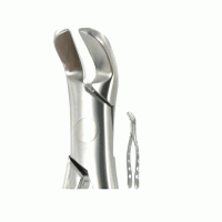 American Extraction Forceps No.6, Lower Splitting
