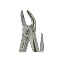 English Extraction Forceps Lower Roots No. 31