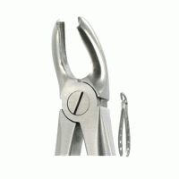 English Extraction Forceps, Lower Molars No. 32