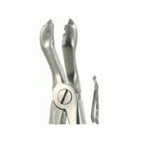 English Extracting Forceps No. 121 Upper Wisdoms