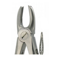English Extraction Forceps No. 168 Upper Canines